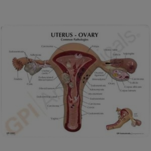 Biology and Science