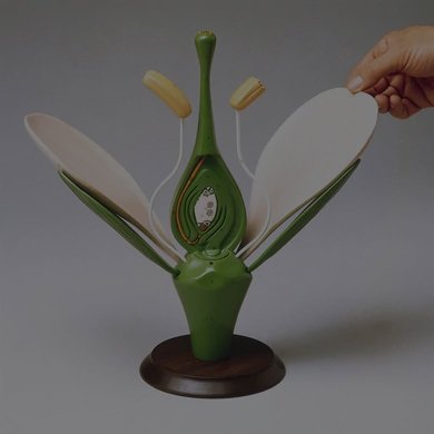 Botany Models